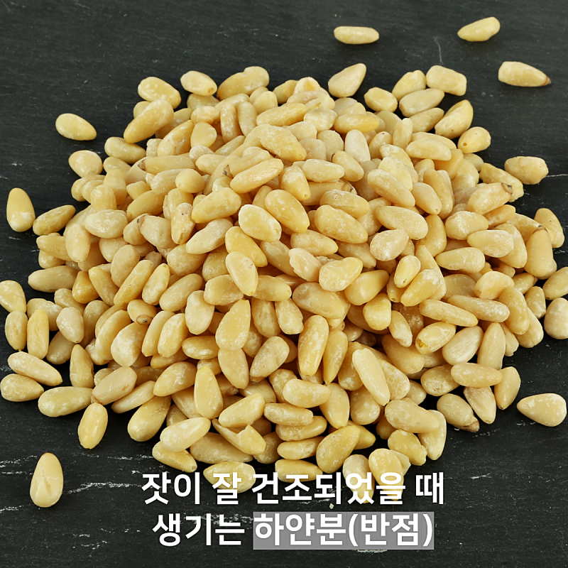 횡성몰,국내산 태기산잣 5번잣 500g 황잣 백잣