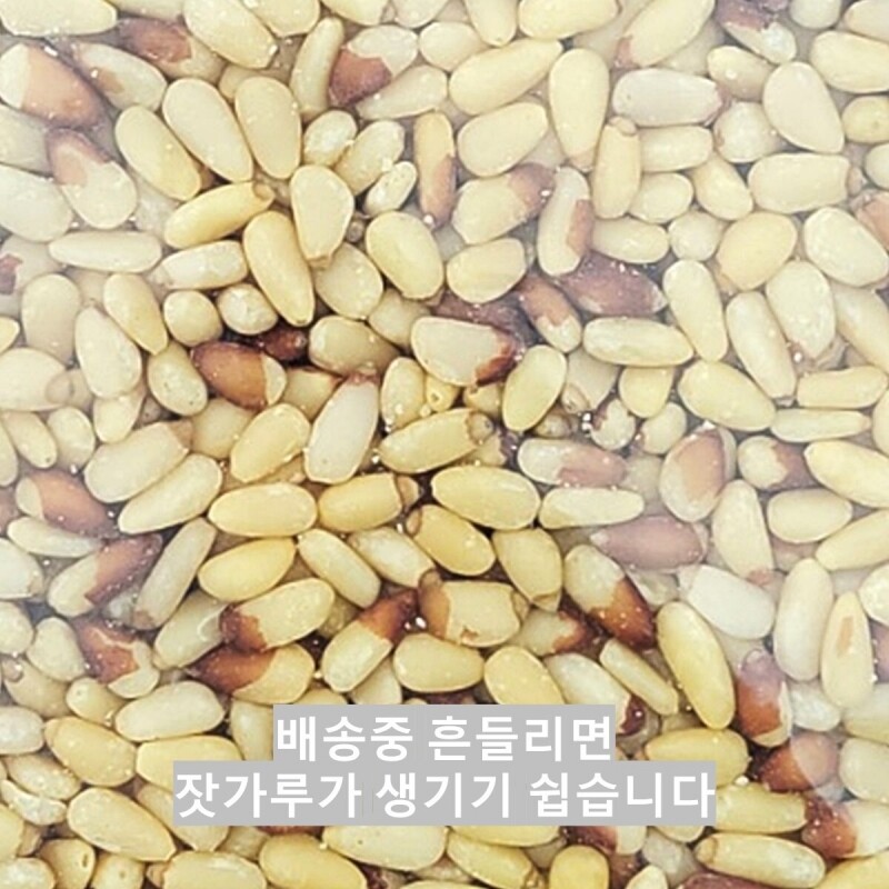 횡성몰,국내산 태기산잣 5번잣 500g 황잣 백잣